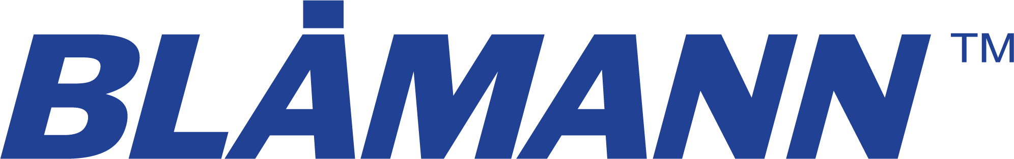 Bla╠èmann_org_logo